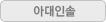 아대인솔